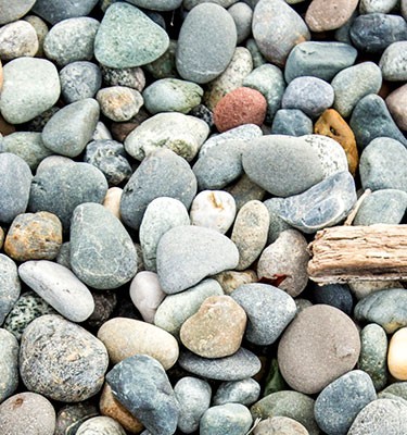 Rocks and driftwood